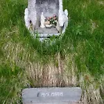 Bivera Sauris *