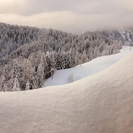 Bivera Sauris * Sauris di Sopra