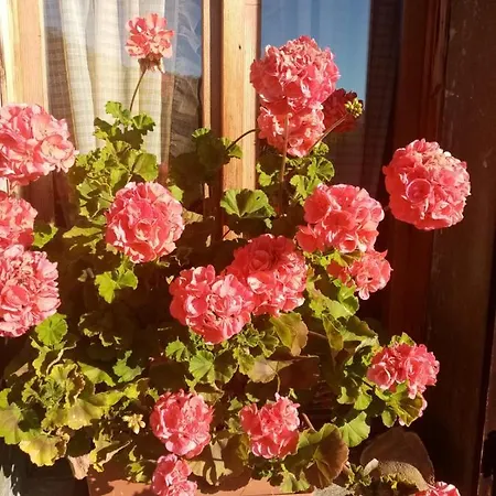 Hotel Bivera Sauris *