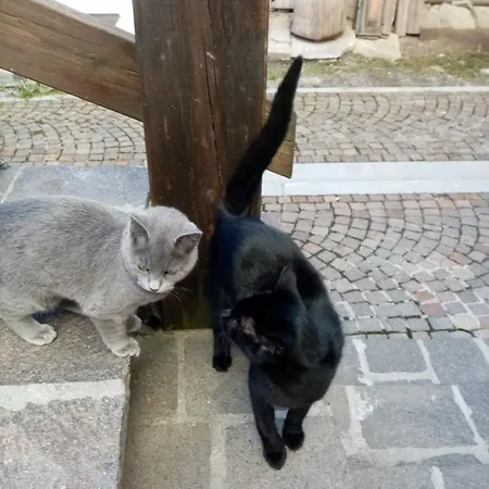 Hotel Bivera Sauris Sauris di Sopra
