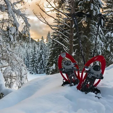 Bivera Sauris Hotel Sauris di Sopra